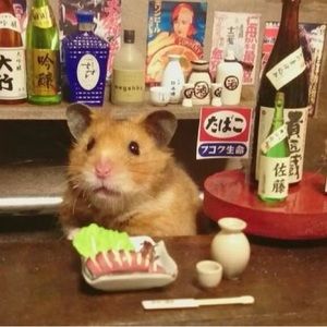 Meet your Posher, Chrissaaay